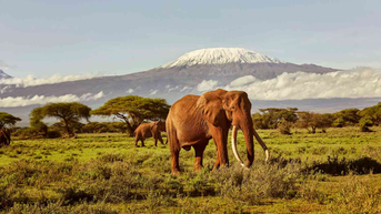  Top 10 địa điểm du lịch Kenya hấp dẫn nhất cho du khách khám phá