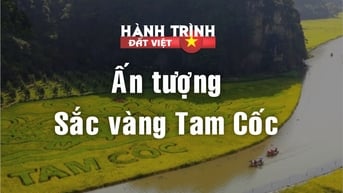 Hẹn hò với “mùa vàng” Tam Cốc