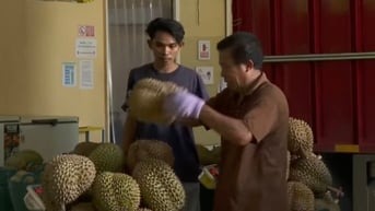 Sầu riêng Việt Nam thêm đối thủ ở Trung Quốc
