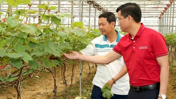 Agribank - ‘bà đỡ’ cho kinh tế tư nhân