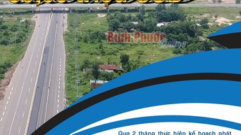 Bình Phước: Thu hút FDI 2 tháng đầu năm 2025 đạt hơn 39,95 triệu USD
