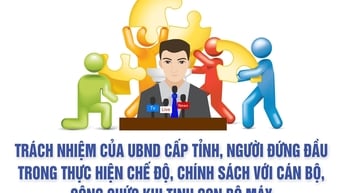 Tinh gọn bộ máy, UBND cấp tỉnh chỉ đạo thực hiện chính sách với cán bộ, công chức, viên chức thế nào?