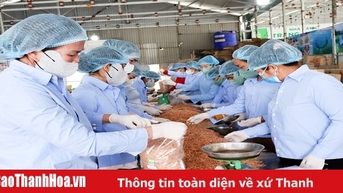 Thị xã Nghi Sơn phấn đấu thành lập mới 180 doanh nghiệp trở lên