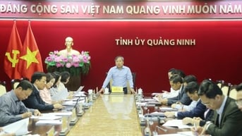 Thường trực Tỉnh ủy cho ý kiến về kết quả công tác quý I/2025 