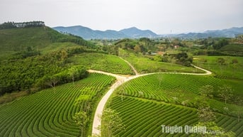 Mỹ Bằng không ngừng vươn lên