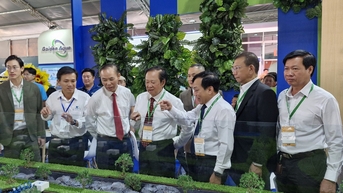 Xuất khẩu tôm đạt hơn 4 tỉ USD
