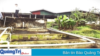 Cần đầu tư hoàn thiện hạ tầng kỹ thuật bảo vệ môi trường tại các cụm công nghiệp