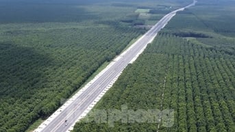 Ngắm tuyến đường 50km nối Bình Dương, Bình Phước, Đồng Nai sắp thông toàn tuyến