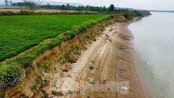 Bờ sông Lam sạt lở nghiêm trọng, cuốn trôi nhiều diện tích đất