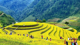 Mù Cang Chải khai thác tiềm năng phát triển du lịch