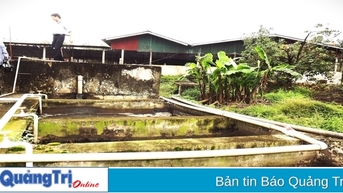 Cần đầu tư hoàn thiện hạ tầng kỹ thuật bảo vệ môi trường ở cụm công nghiệp