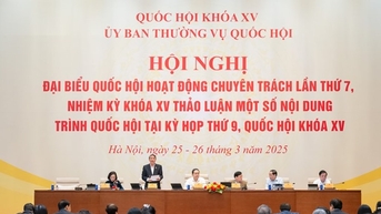 Đề xuất tăng thuế xe bán tải từ 2027