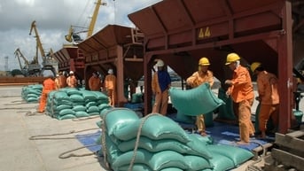 Bộ Công Thương thành lập đoàn kiểm tra liên ngành về xuất khẩu gạo
