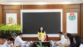 Đắk Nông chỉ đạo khẩn trương sử dụng hơn 260 biên chế giáo viên đã phân...