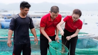 Ngân hàng bung vốn lãi suất thấp cho vay nông nghiệp