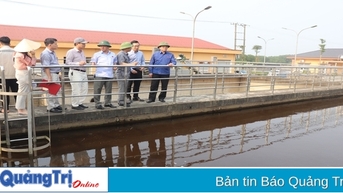 Giám sát việc thực hiện chính sách, pháp luật về bảo vệ môi trường