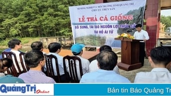 Thả 2,5 vạn cá giống bổ sung, tái tạo nguồn lợi thủy sản tại hồ Ái Tử