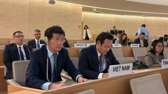 Việt Nam kêu gọi chấm dứt xung đột, bảo vệ dân thường và thúc đẩy giải pháp hai nhà nước cho vấn đề Palestine - Israel