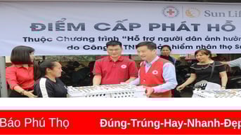 Hỗ trợ sinh kế cho người dân bị ảnh hưởng bởi cơn bão số 3