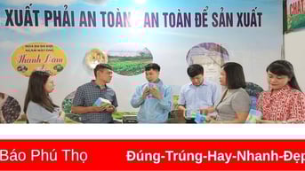 Nâng tầm nông sản, nâng cao thu nhập