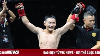 Cao thủ MMA Việt Nam tranh suất UFC, săn hợp đồng tiền tỷ