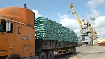 Đâu là ‘át chủ bài’ của Việt Nam?