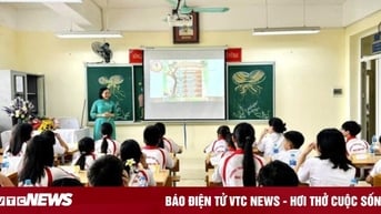 Điều kiện giáo viên cần đáp ứng khi muốn dạy thêm hợp pháp