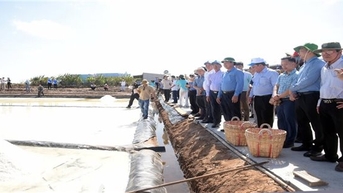 Để diêm dân Bạc Liêu "sống" được với hạt muối: Giải pháp cho sự phát triển bền vững (Bài 2)