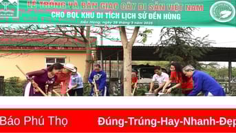 Trồng cây thuộc Dự án “Vườn ươm Quốc gia Đền Hùng”