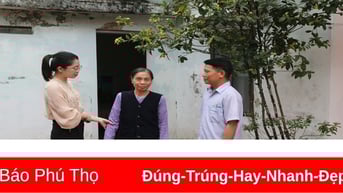 Hòa giải ở cơ sở