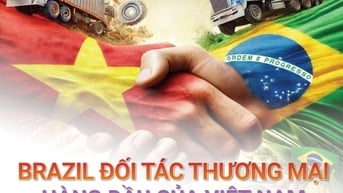 Brazil là đối tác thương mại hàng đầu của Việt Nam tại Mỹ Latinh