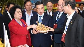 HCM City Export 2025: Kết nối giao thương, mở rộng xuất khẩu