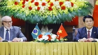 Chủ tịch nước Lương Cường hội đàm với Tổng thống Brazil