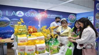 Dự hội chợ tại TP. Hồ Chí Minh, doanh nghiệp Lào Cai ký kết nhiều hợp đồng hợp tác
