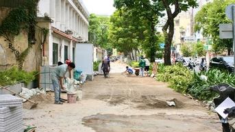 Bao nhiêu vỉa hè thi công gây ảnh hưởng cây xanh?