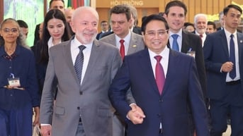 Việt Nam sẵn sàng mở cửa cho thị trường thịt bò của Brazil