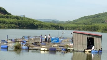 Sản lượng nuôi trồng thủy sản tăng 4% so với cùng kỳ