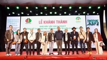 Philippines cần vắc xin dịch tả lợn, Việt Nam sẵn hàng xuất khẩu
