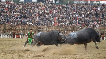 Hãy để cộng đồng quyết định