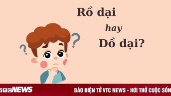 'Rồ dại' hay 'dồ dại' mới đúng chính tả?