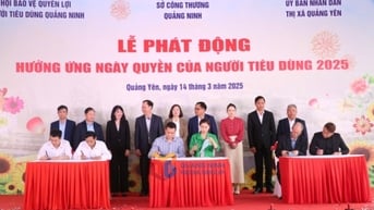 Mua sắm online: Lợi ích và rủi ro