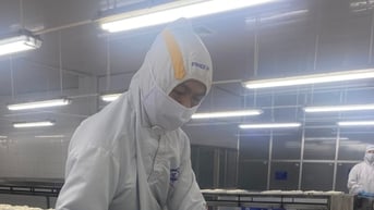 Sóc Trăng lần đầu xây nhà máy chế biến cá rô phi xuất khẩu