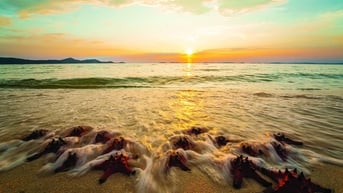 Chạm vào vẻ đẹp nguyên sơ của Phú Quốc