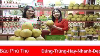 Vui hội Đền Hùng