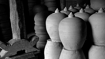 'Hội An lang thang phố nhớ' cùng Tam Thái