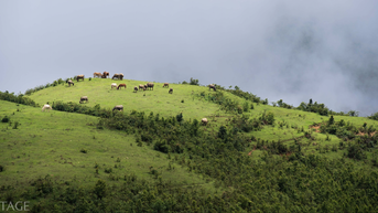 Khám phá cung đường trekking lên đỉnh Pú Đao