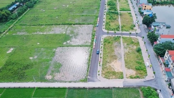 Đất đấu giá Thanh Oai mất mốc 100 triệu đồng/m2