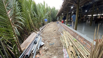 Thành phố Hội An bắt đầu 'dẹp loạn' ở rừng dừa Cẩm Thanh