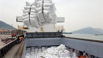 Xuất khẩu gạo suy giảm những tháng đầu năm, Thủ tướng chỉ đạo khẩn