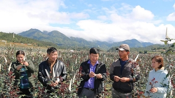 Mu Cang Chai មានឃុំជនបទថ្មីដំបូងគេ